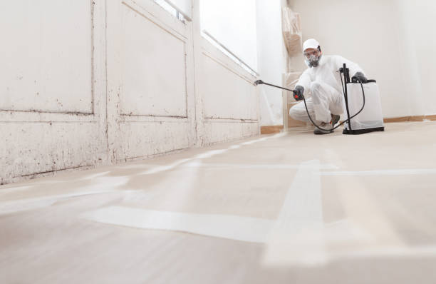 24/7 Emergency Mold Remediation experts in Washington, IL